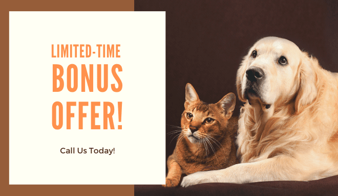 Limited-Time Bonus offer - Call us Today!