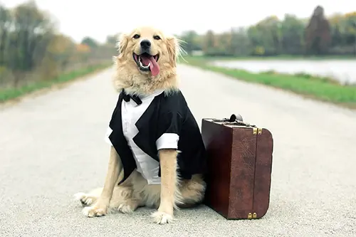 Boarding