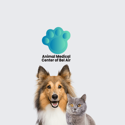 Animal Medical Center of Bel Air logo